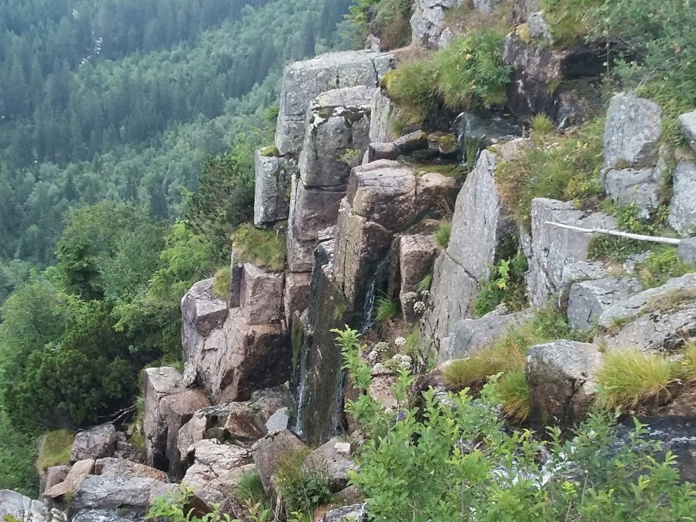 2019-08-27 09.38.34.jpg