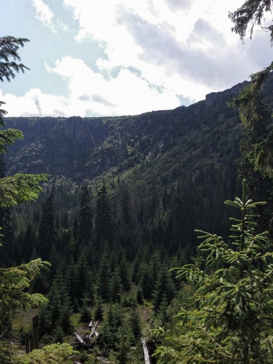 2019-08-27 11.02.35.jpg