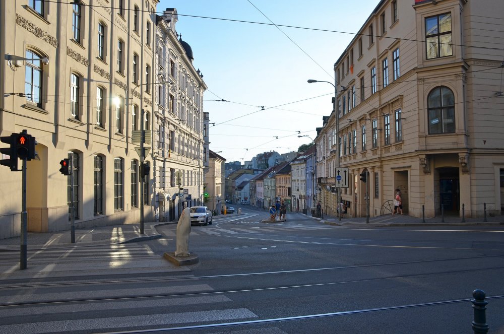 DSC_7869 — копия.JPG