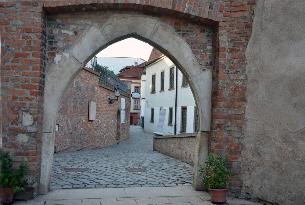 DSC_7903 — копия.JPG