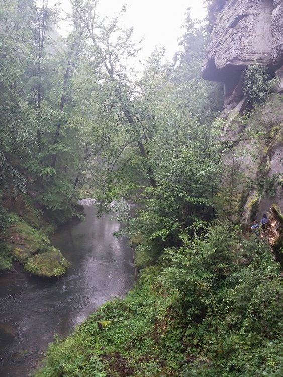 2019-08-21 13.35.33.jpg