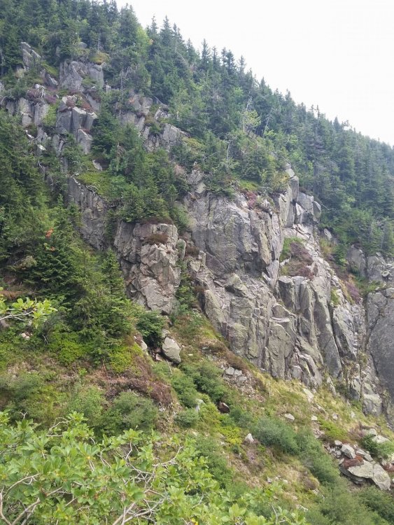 2019-08-27 09.52.05.jpg