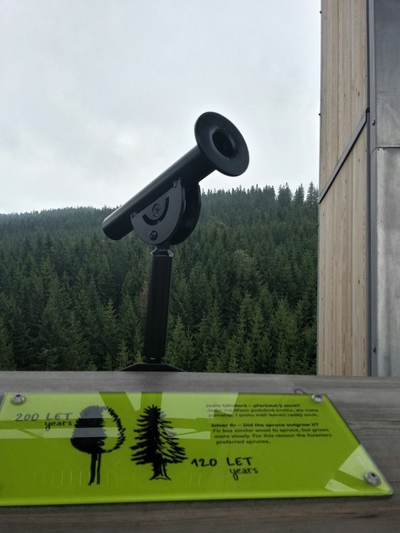 2019-08-22 21.12.03.jpg