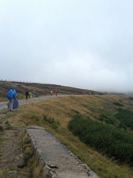 2019-08-22 21.18.02.jpg