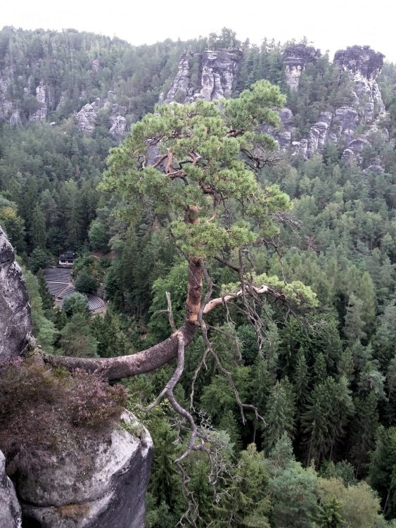 2019-08-21 18.09.40.jpg