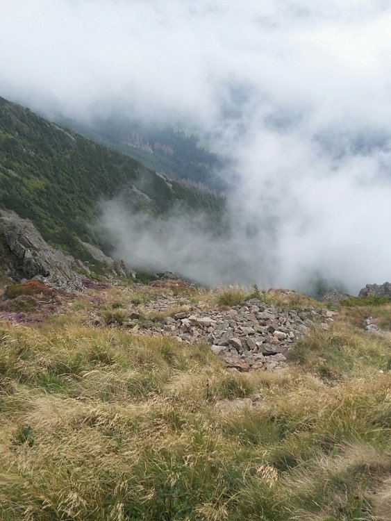 2019-08-22 21.16.43.jpg