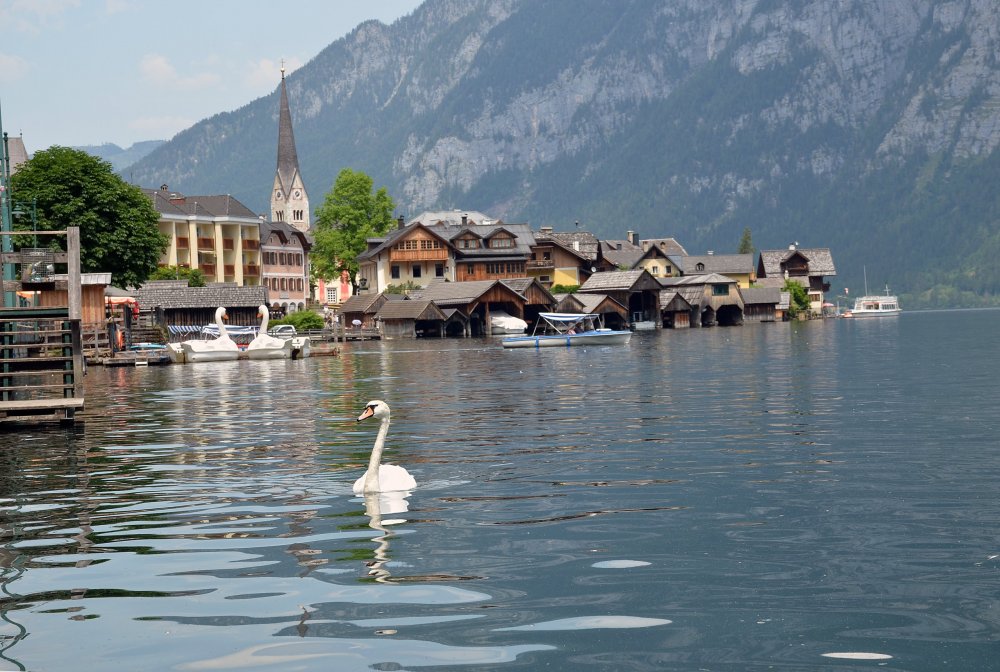 +DSC_8200 — копия.JPG