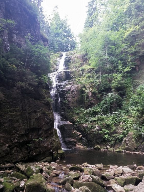 2019-08-28 08.51.25.jpg