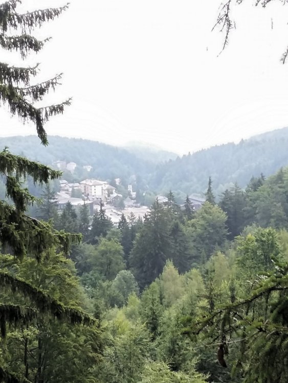 2019-08-22 21.13.30.jpg