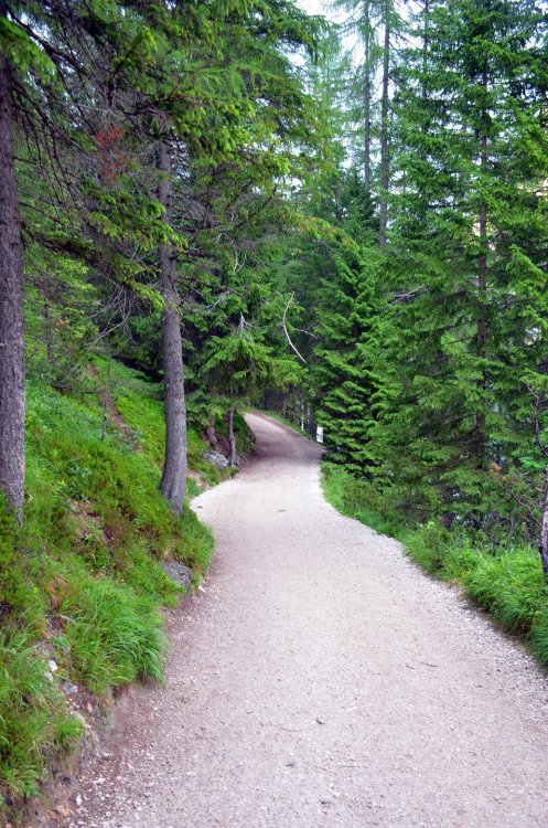 ++DSC_0854 — копия.JPG