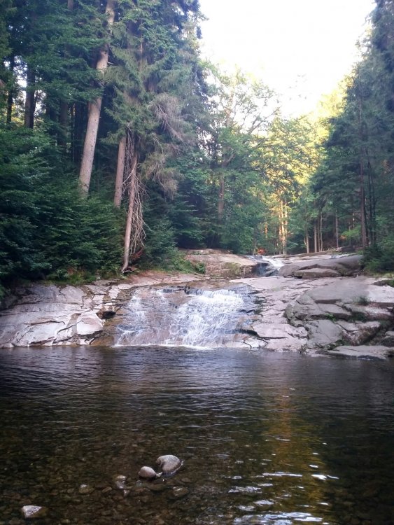 2019-08-28 09.08.24.jpg