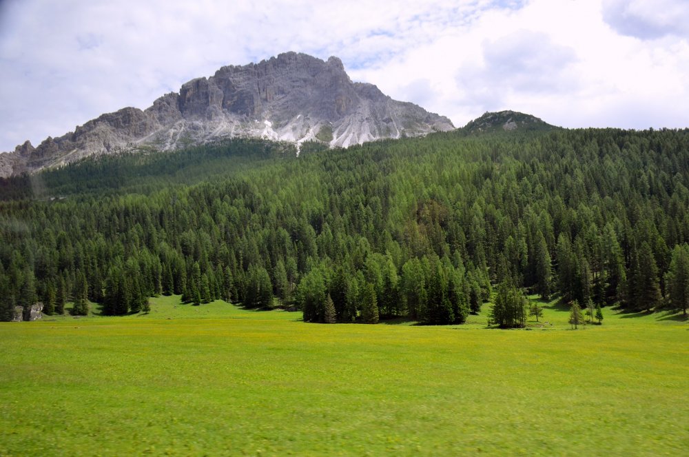 +DSC_9771 — копия.JPG