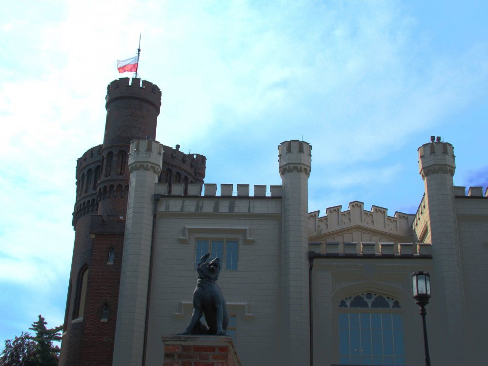 21.07.19 Курник 002.jpg