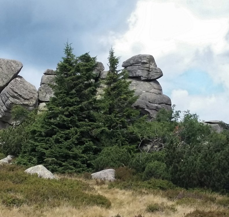 2019-08-28 09.02.59.jpg