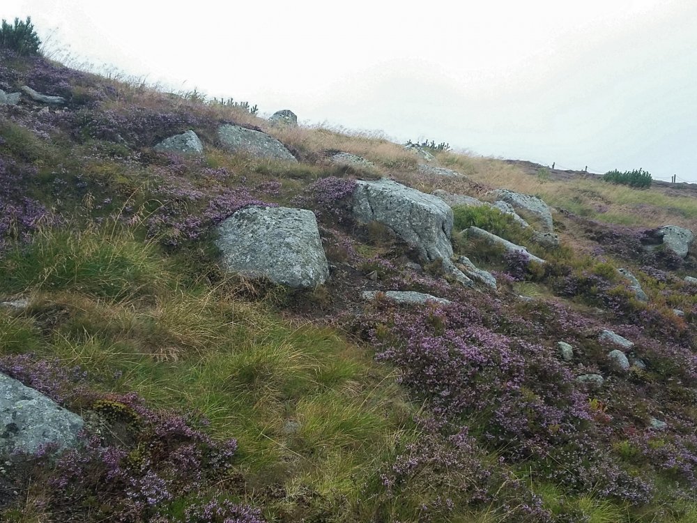 2019-08-22 21.18.21.jpg