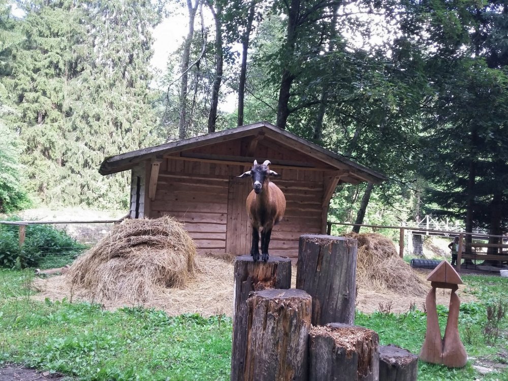 2019-08-27 11.04.29.jpg