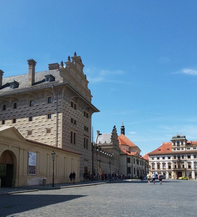 2019-08-19 19.17.18.jpg