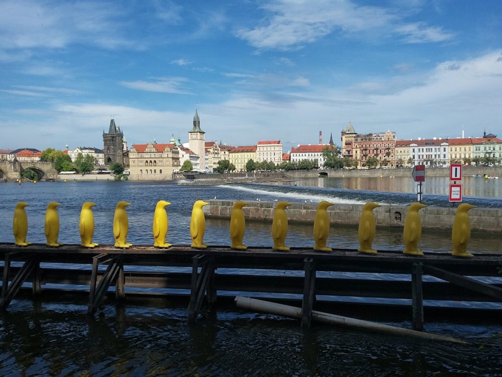 2019-08-21 12.03.38.jpg