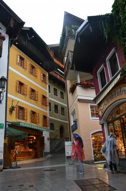 DSC_8449 — копия.JPG