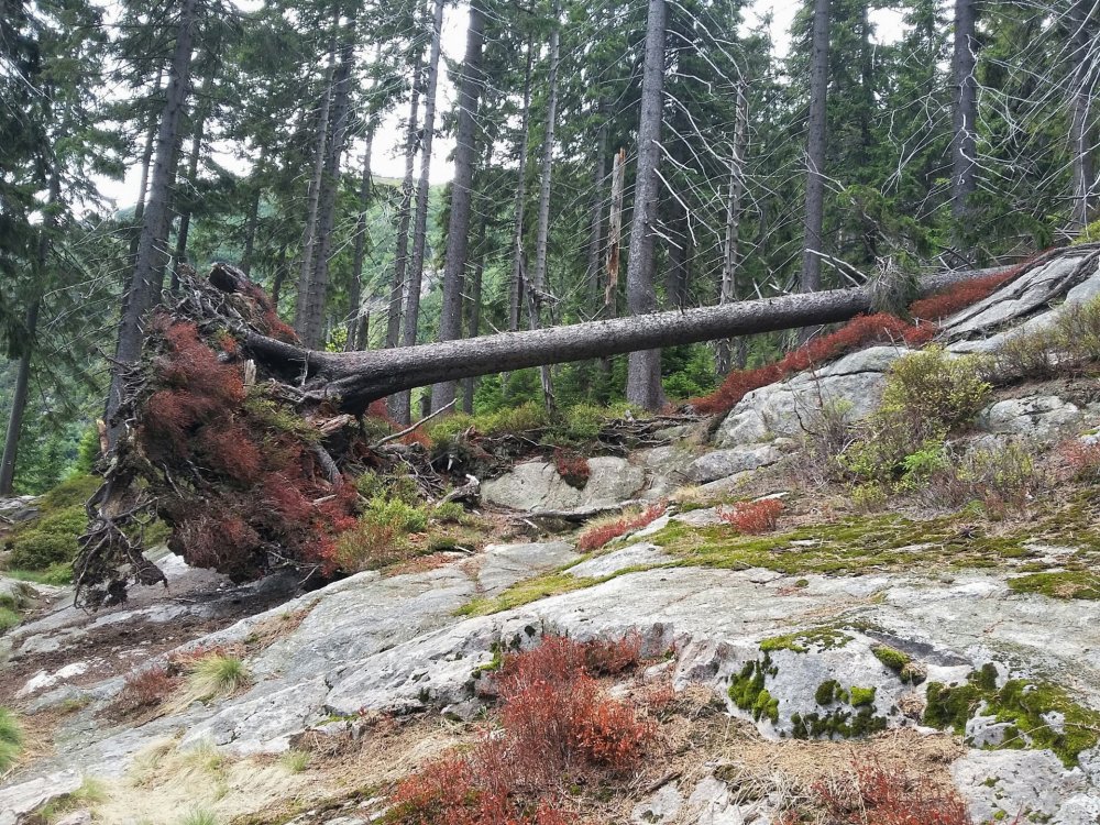 2019-08-27 11.02.01.jpg