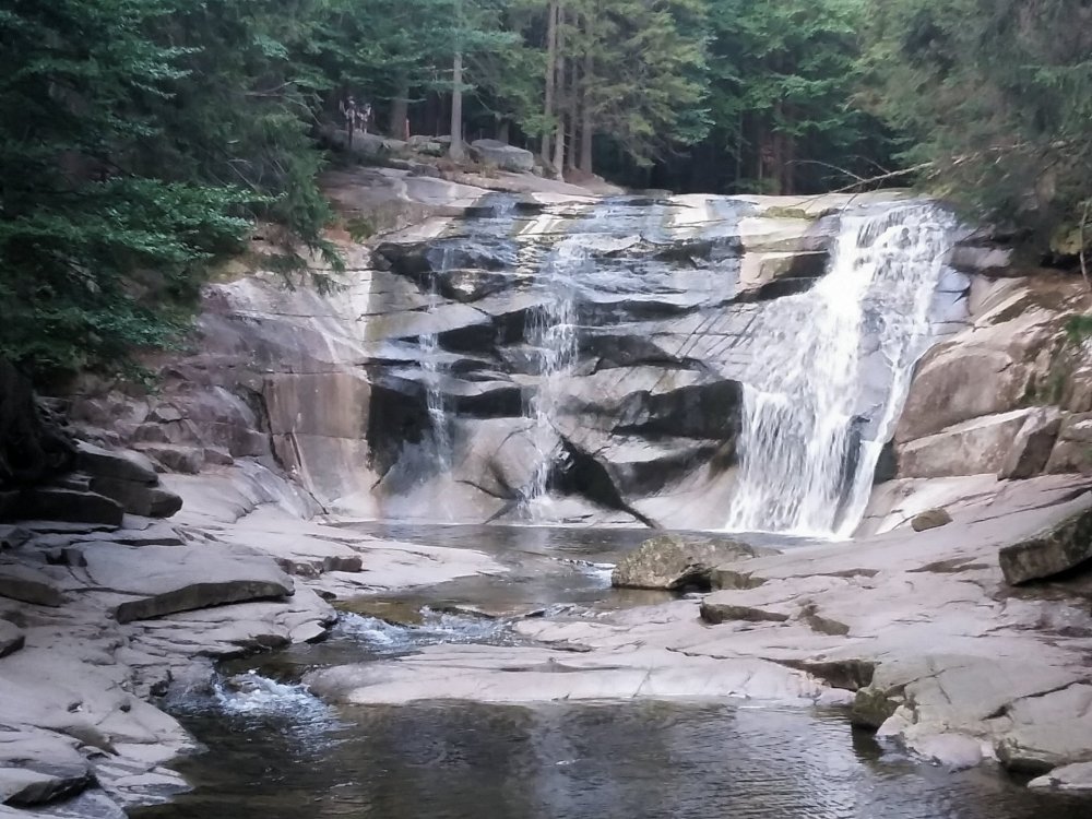 2019-08-28 09.05.47.jpg