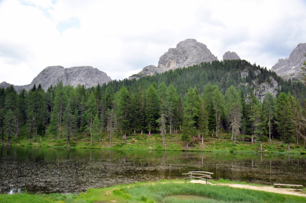 ++DSC_9896 — копия.JPG