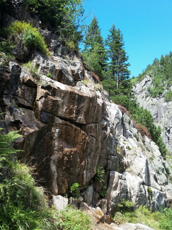 2019-08-27 11.01.08.jpg