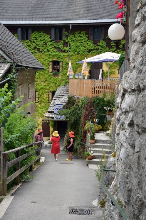 +DSC_8299 — копия (2).JPG