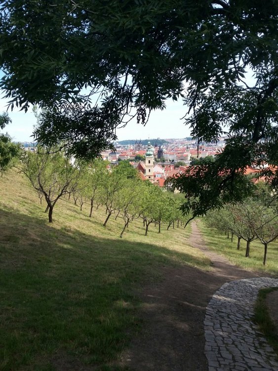 2019-08-21 10.46.09.jpg