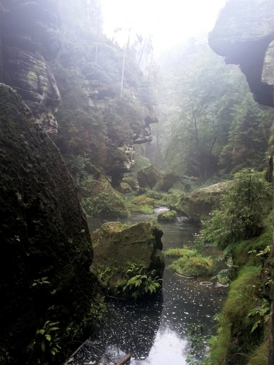 2019-08-21 13.32.00.jpg