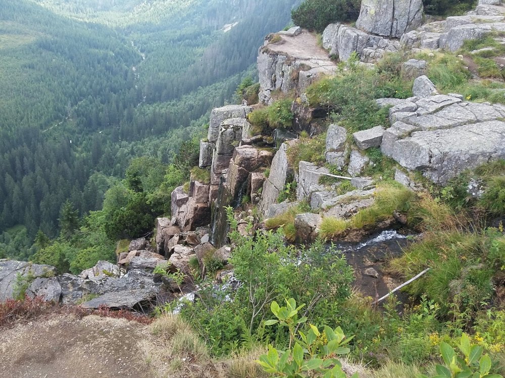 2019-08-27 09.38.51.jpg