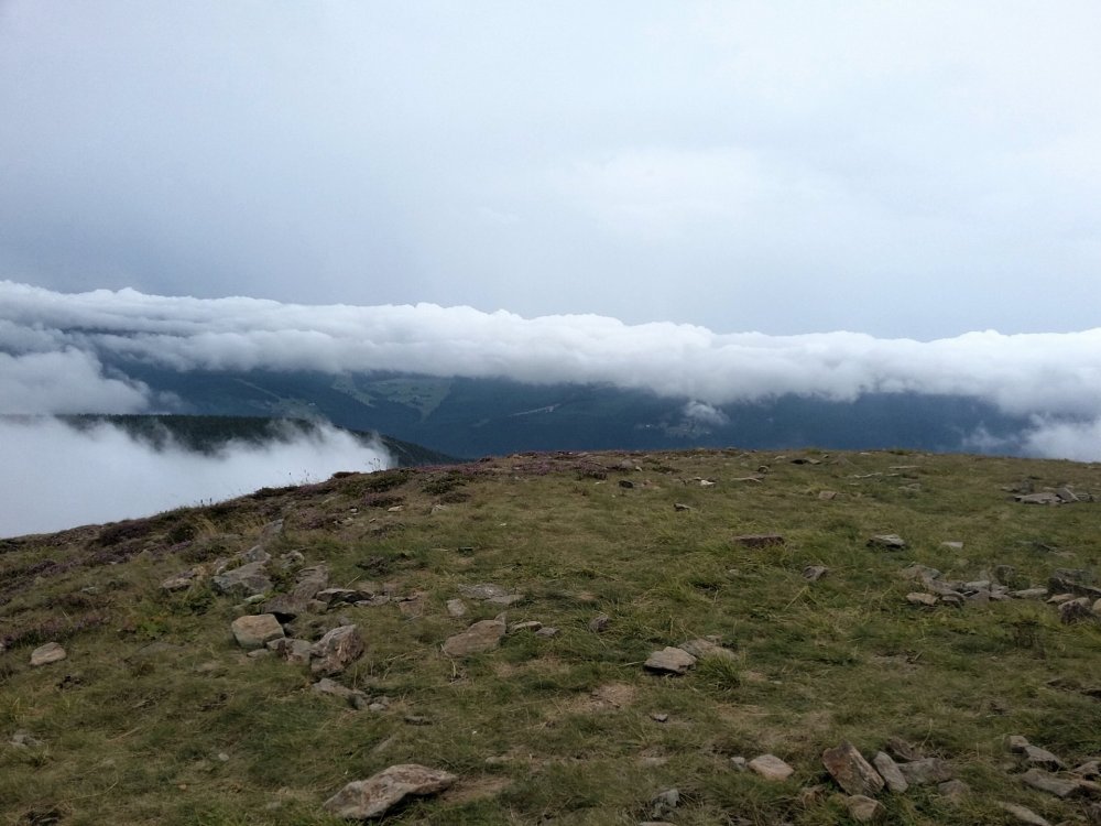 2019-08-22 21.15.37.jpg