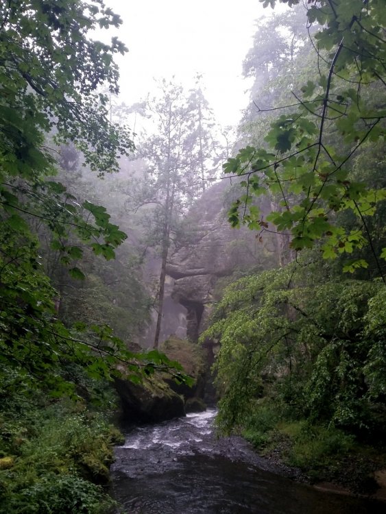 2019-08-21 13.30.33.jpg