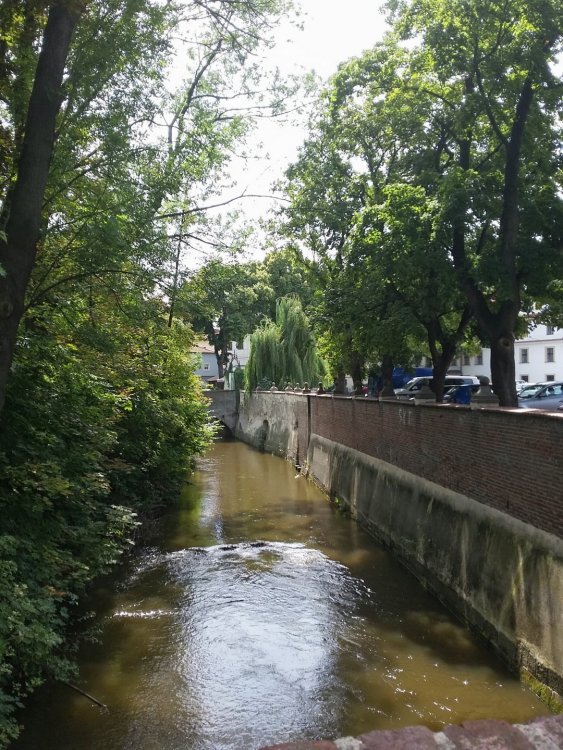 2019-08-21 12.01.27.jpg