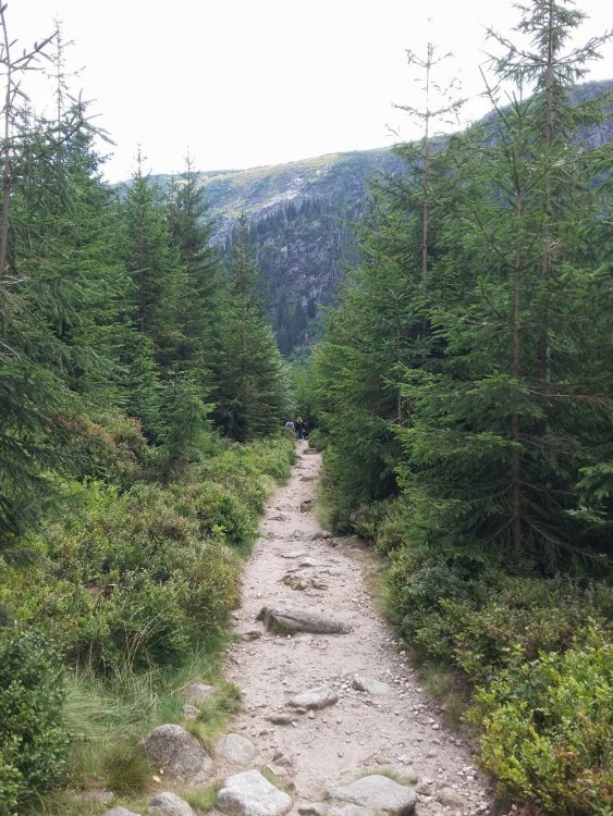 2019-08-27 11.03.02.jpg