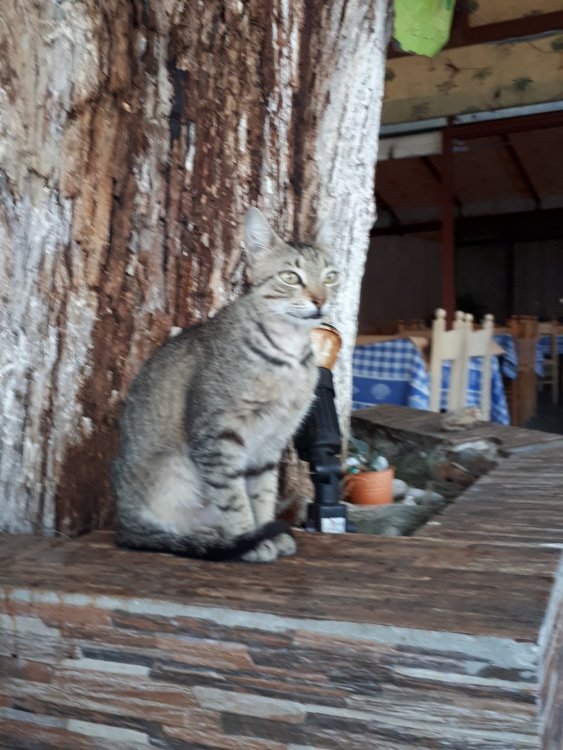 7а. Лутраки.jpg