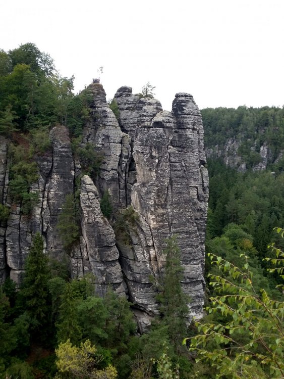 2019-08-21 18.08.28.jpg