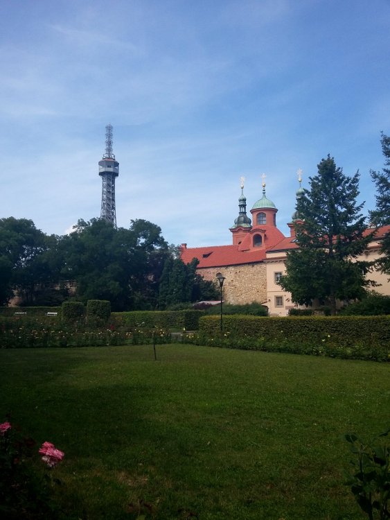 2019-08-21 10.44.50.jpg