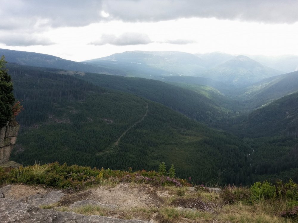 2019-08-27 09.40.32.jpg