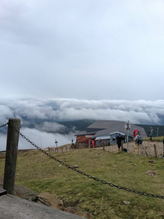 2019-08-22 21.16.02.jpg