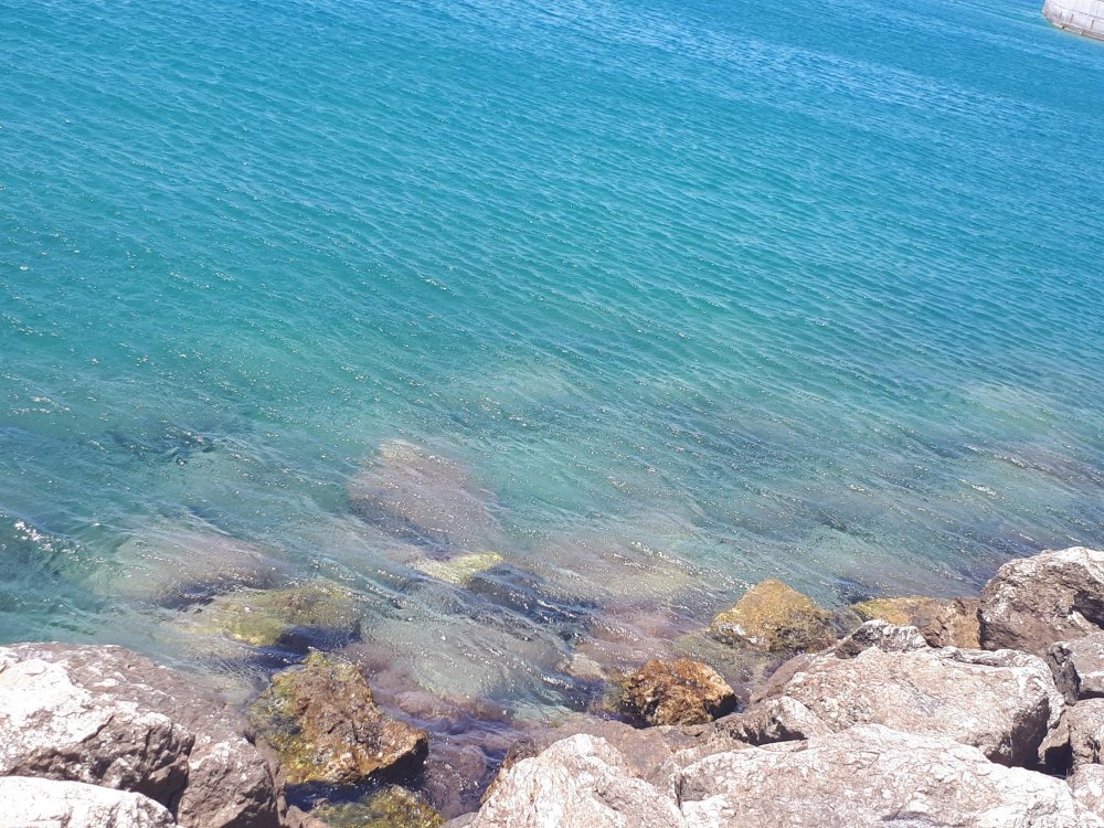 7. Лутраки.jpg