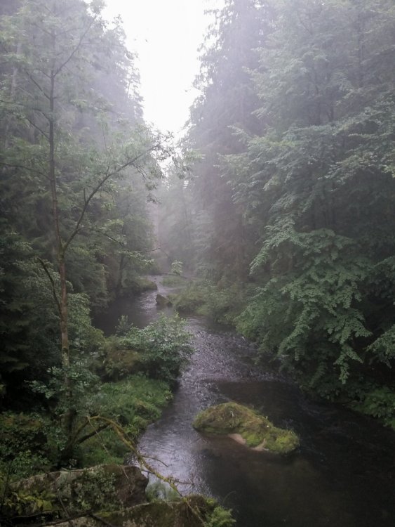 2019-08-21 13.29.36.jpg