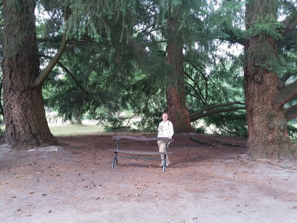 2019-08-22 13.03.02.jpg