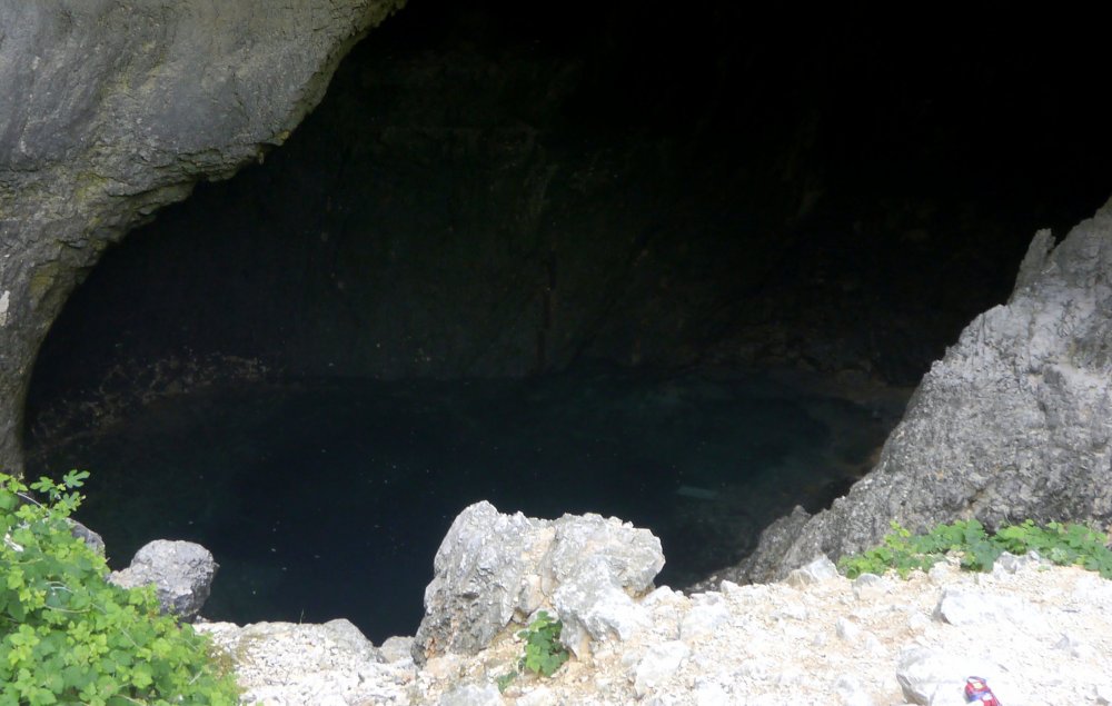 _1420568.JPG 2.jpg 2.jpg