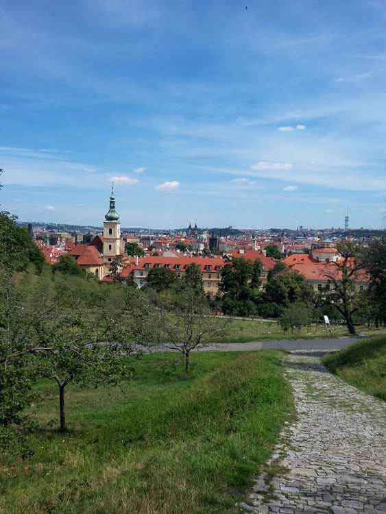 2019-08-21 10.46.39.jpg