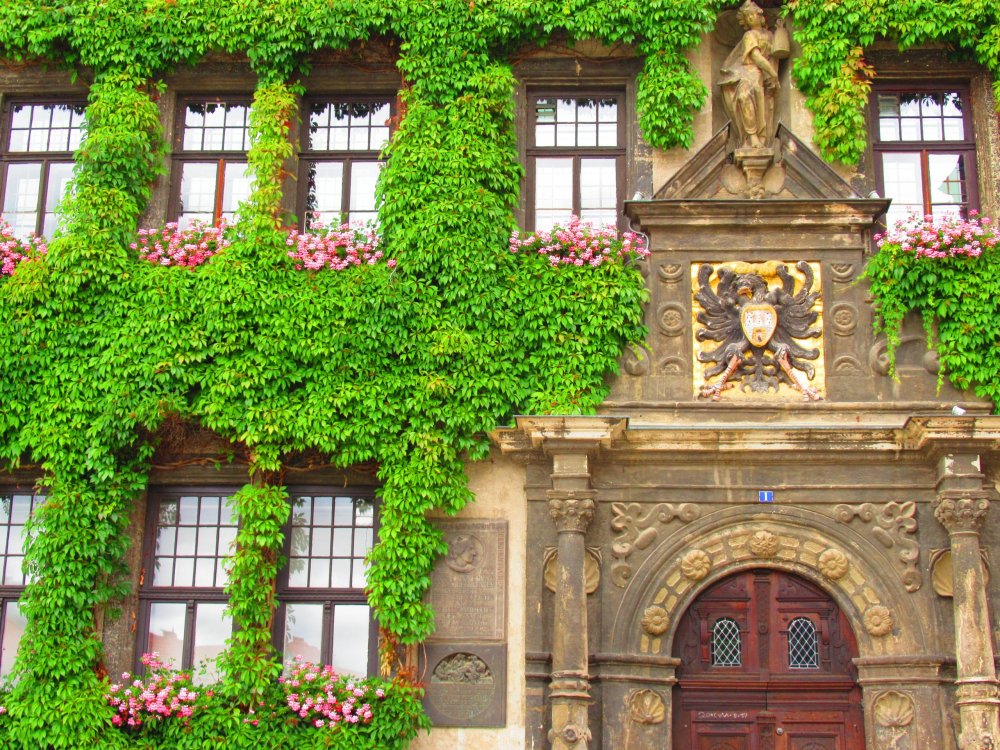 13.07.19 Кведлинбург 005.jpg