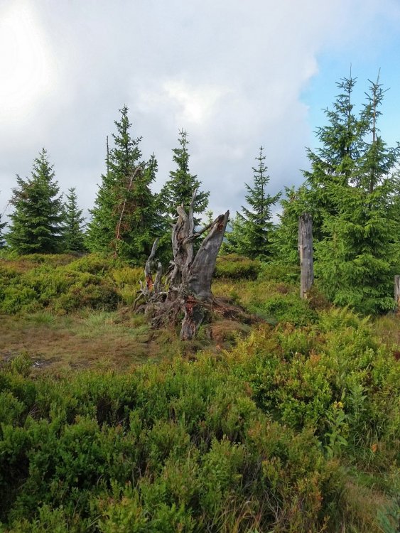 2019-08-27 08.28.25.jpg