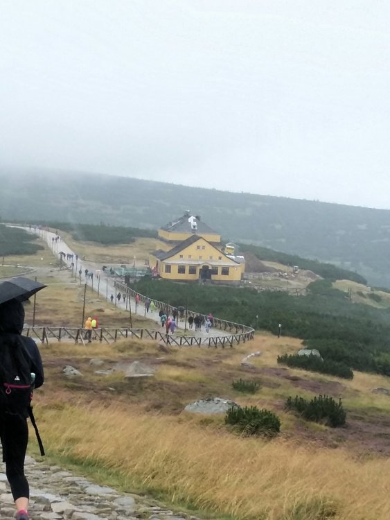 2019-08-22 21.18.45.jpg