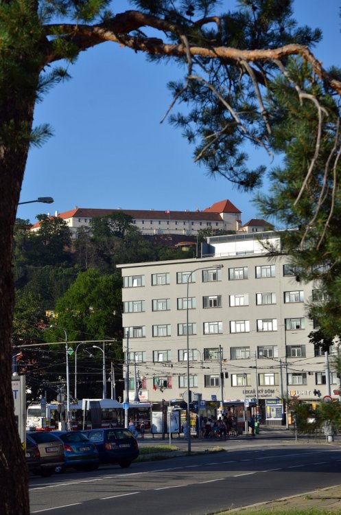 DSC_7851 — копия.JPG