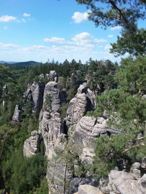 2019-08-22 13.11.46.jpg